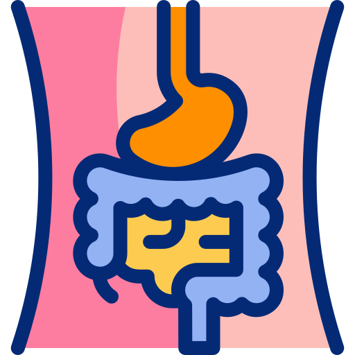 Digestive system Basic Accent Lineal Color icon