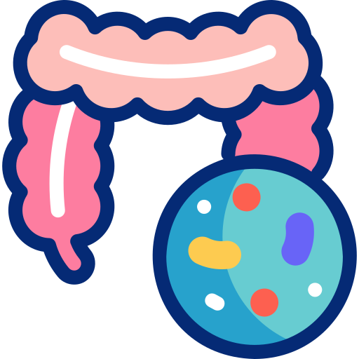 microbiota intestinal Basic Accent Lineal Color icono