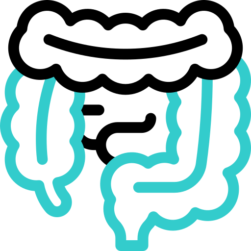 intestini Basic Accent Outline icona