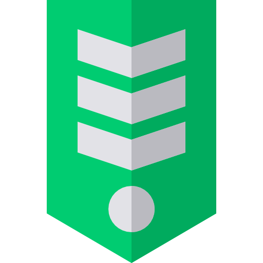 rango Basic Straight Flat icono