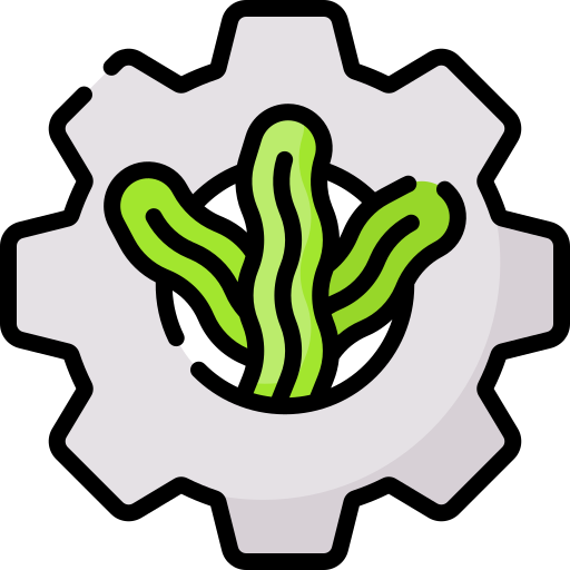 藻類 Special Lineal color icon