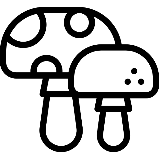 champignons Detailed Mixed Lineal Icône