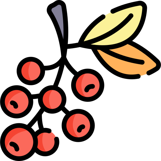 Rowan Kawaii Lineal color icon