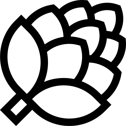 dennenappel Basic Straight Lineal icoon