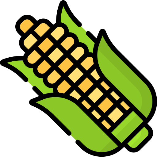 Corn Special Lineal color icon