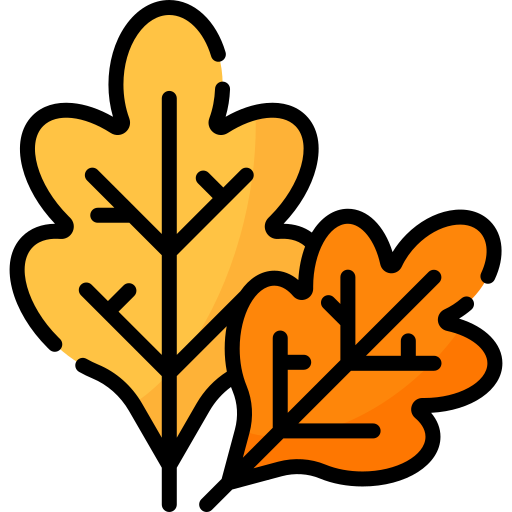 Oak leaf Special Lineal color icon