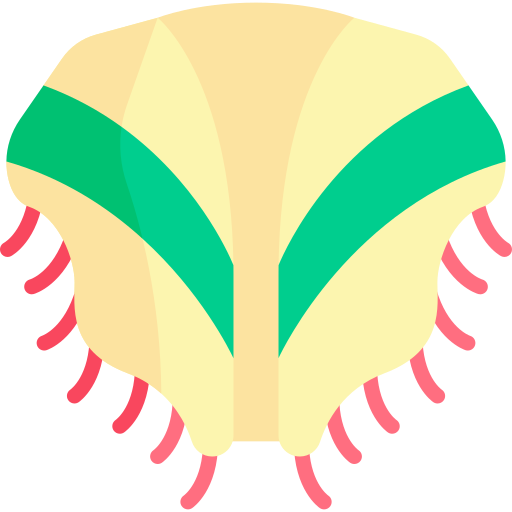 ショール Kawaii Flat icon