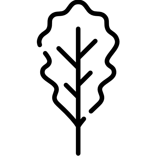 foglia di quercia Special Lineal icona