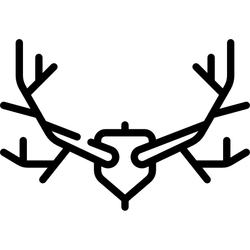 hirschhörner Special Lineal icon