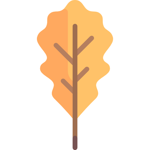 참나무 잎 Special Flat icon