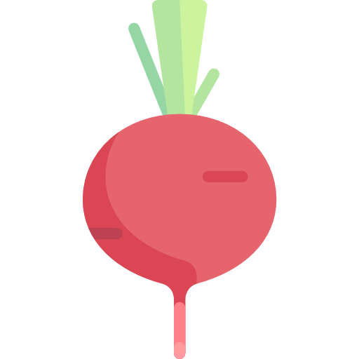 Radish Special Flat icon