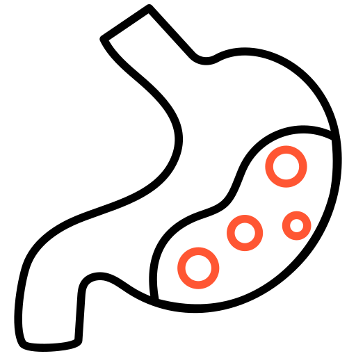 胃 Generic color outline icon