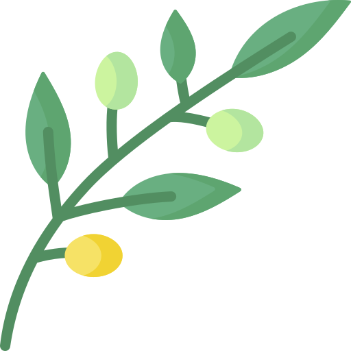 ramo d'olivo Special Flat icona
