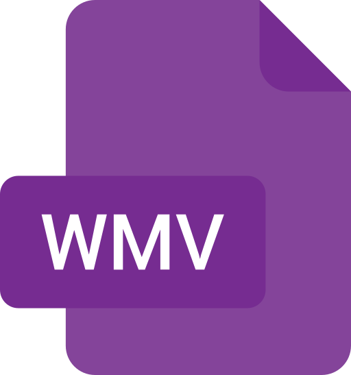 Wmv Generic color fill icon