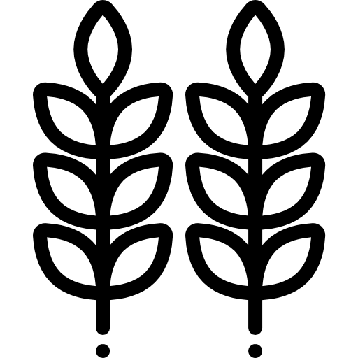 小麦 Detailed Rounded Lineal icon