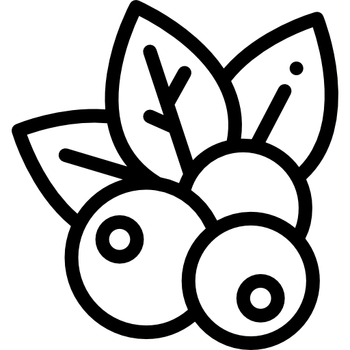 베리류 Detailed Rounded Lineal icon