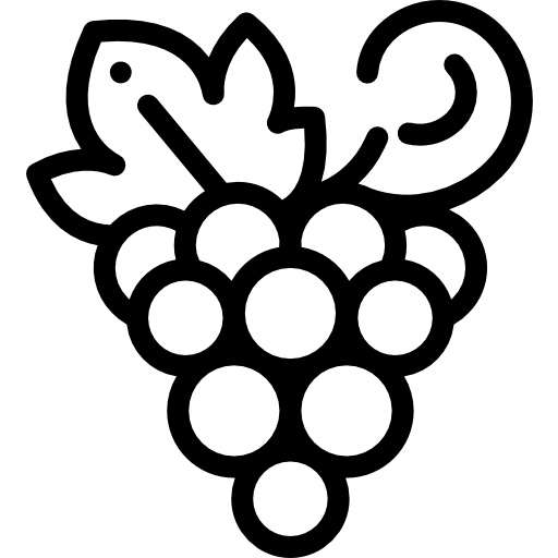 ブドウ Detailed Rounded Lineal icon