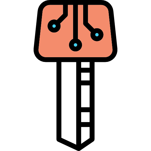 전자 열쇠 Special Lineal color icon