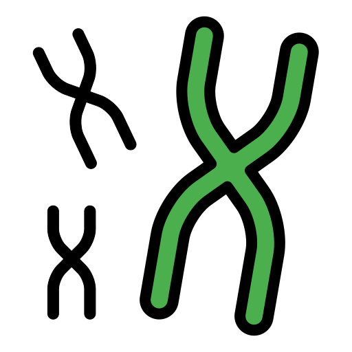 chromosome Generic color lineal-color Icône