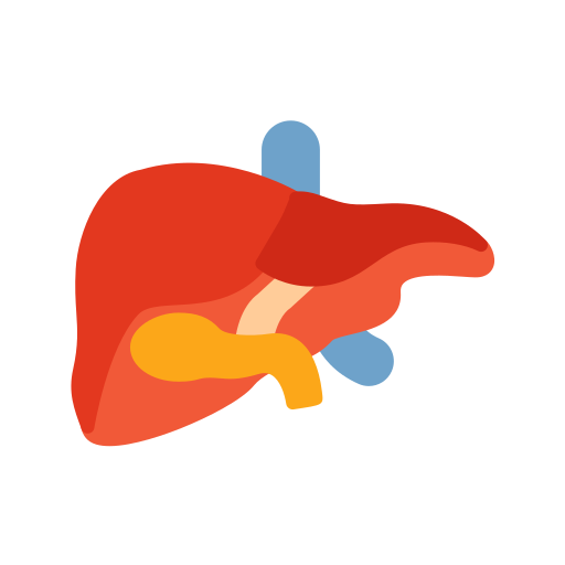 Liver Generic color fill icon