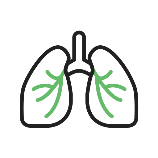 płuca Generic color outline ikona