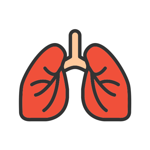 Lungs Generic color lineal-color icon