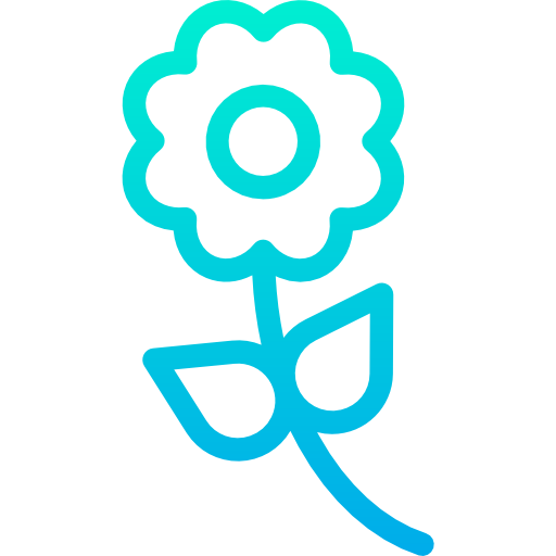 Flower Kiranshastry Gradient icon