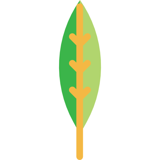 잎 Kiranshastry Flat icon