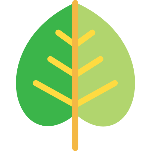 잎 Kiranshastry Flat icon