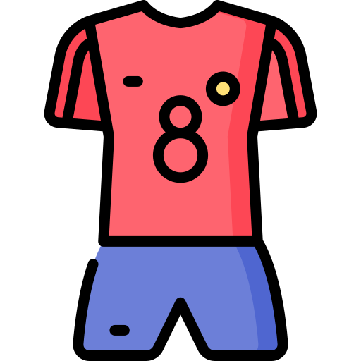 Jersey Special Lineal color icon