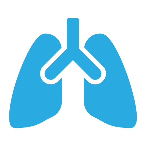 肺 Generic color fill icon