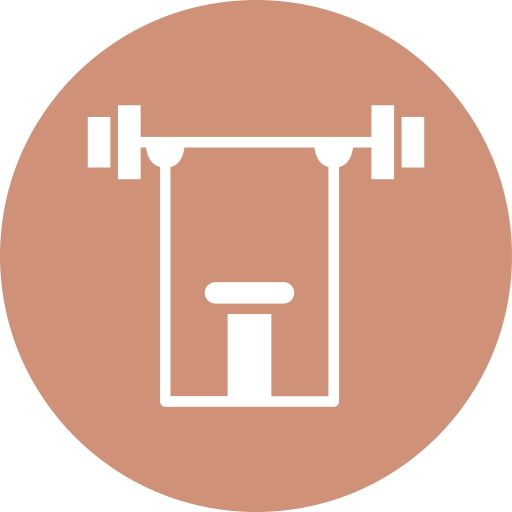 Barbell Generic color fill icon