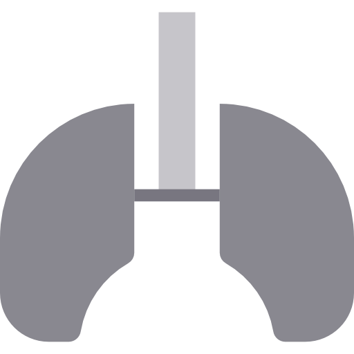 Lungs itim2101 Flat icon