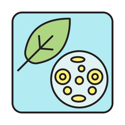 Plant cell Generic color lineal-color icon