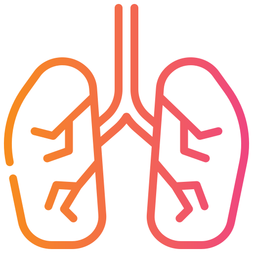 pulmones Generic gradient outline icono