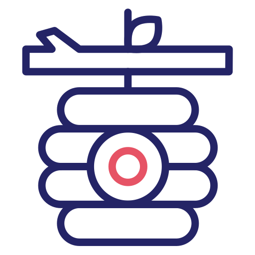 bienenwabe Generic color outline icon