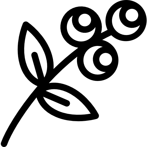 Филиал Octopocto Lineal иконка