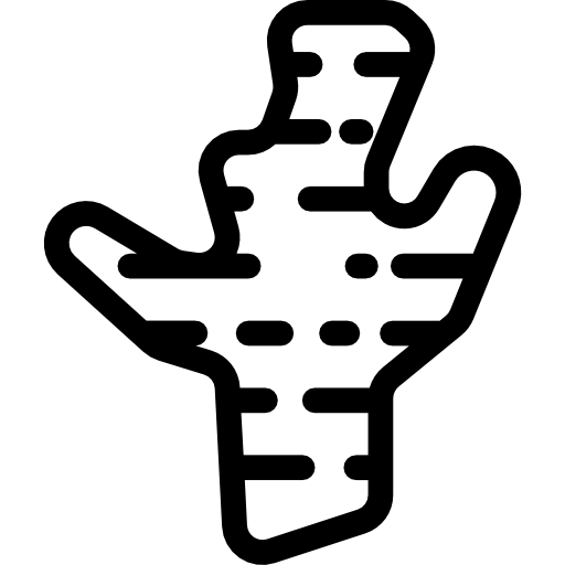 Имбирь Octopocto Lineal иконка