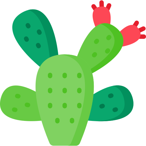 Nopal Special Flat icon