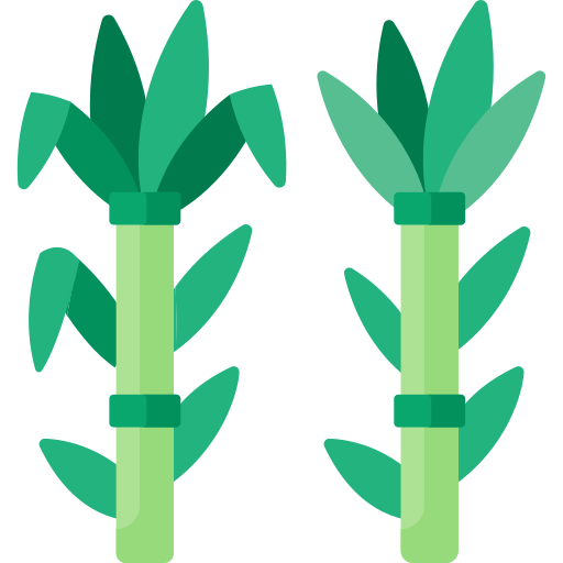 Сахарный тростник Special Flat иконка