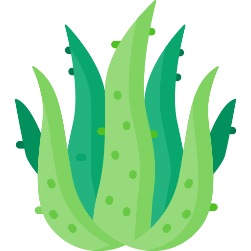 Aloe Special Flat icon