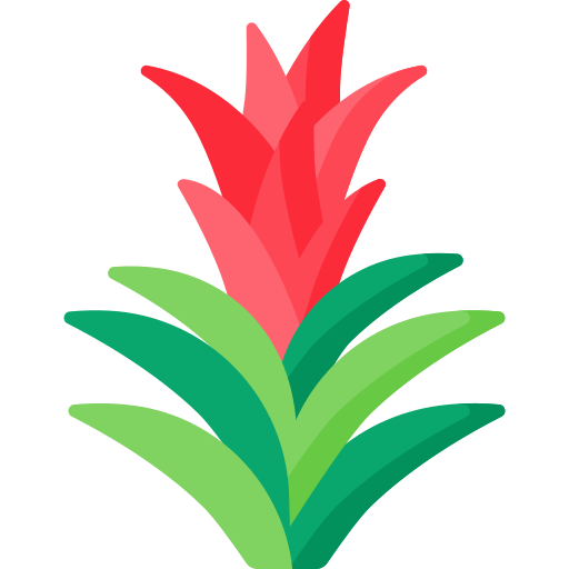 Bromeliad Special Flat icon