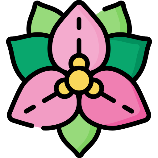 bougainvillea Special Lineal color icon