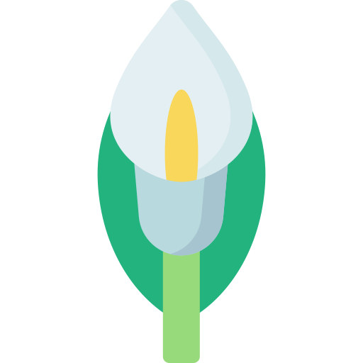 Calla lily Special Flat icon