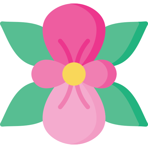 Begonia Special Flat icon
