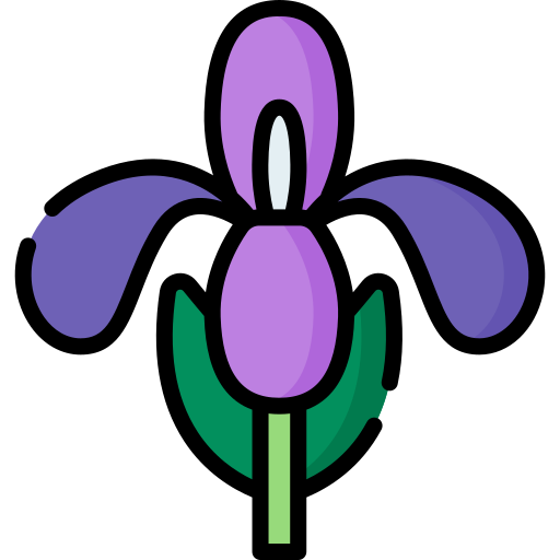 iris Special Lineal color Icône