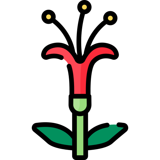 Quintral Special Lineal color icon