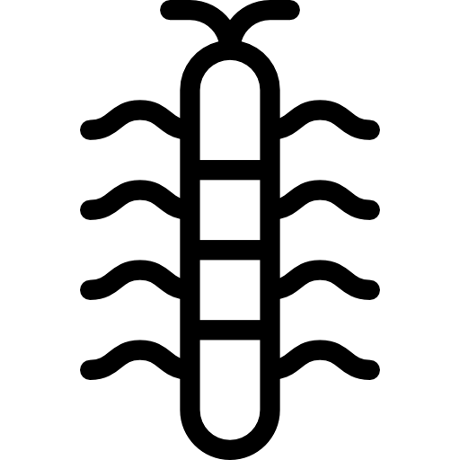 Сороконожка Vitaliy Gorbachev Lineal иконка