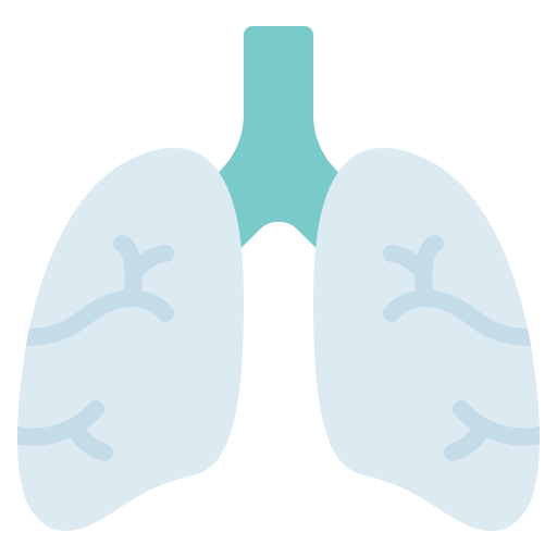 pulmones Generic color fill icono