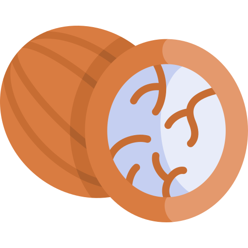 Мускатный орех Kawaii Flat иконка